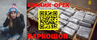 гашик Тверь