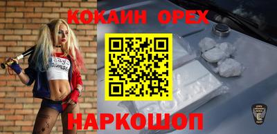 гашик Тверь
