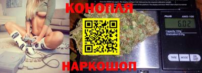 гашик Тверь